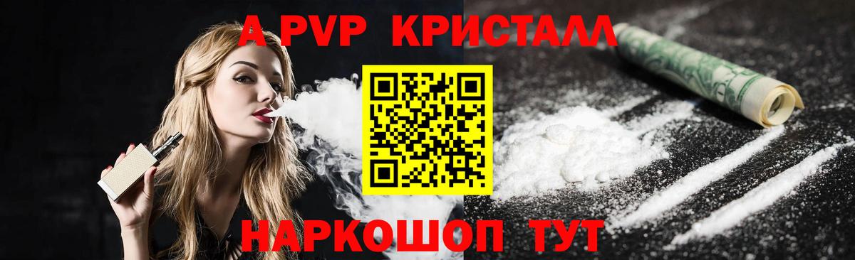 Альфа ПВП СК КРИС Владикавказ
