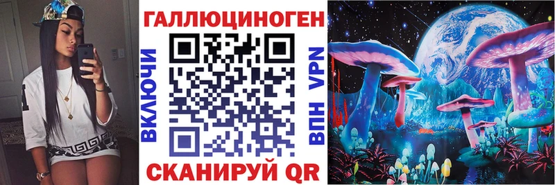 Псилоцибиновые грибы Cubensis  даркнет сайт  Владикавказ 